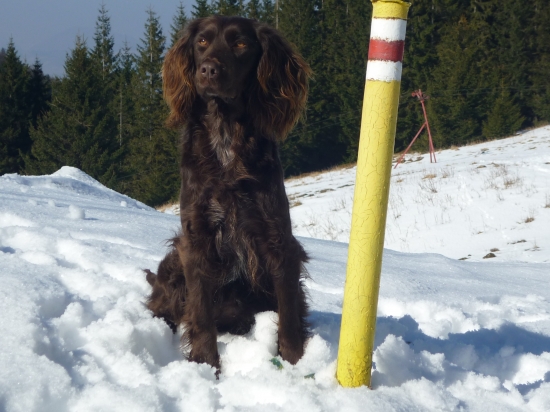 poľovačky skončili,tak som sa dala na turistiku... :-)