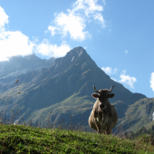 Pozdrav zo Swizerlandu