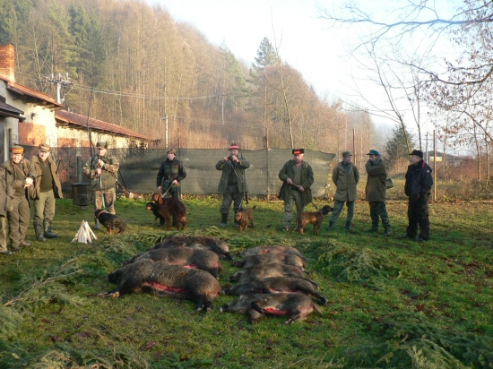 Spoločná na diviaky