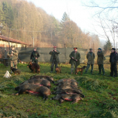 Spoločná na diviaky