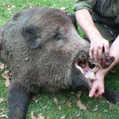 možno bude aj medaila