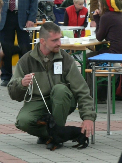 na výstave jazvečíkov 2