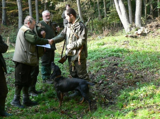 Farbiarske skúšky duričov
