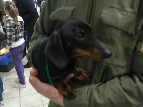 Nervozita pred výstavou