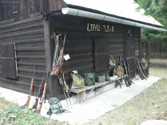 Chatka zarodila...:-)