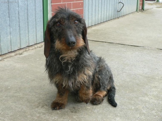 Fraxa Kamenné Hony-na prázdninách