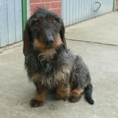 Fraxa Kamenné Hony-na prázdninách