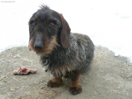 kostičku si ustrážim !