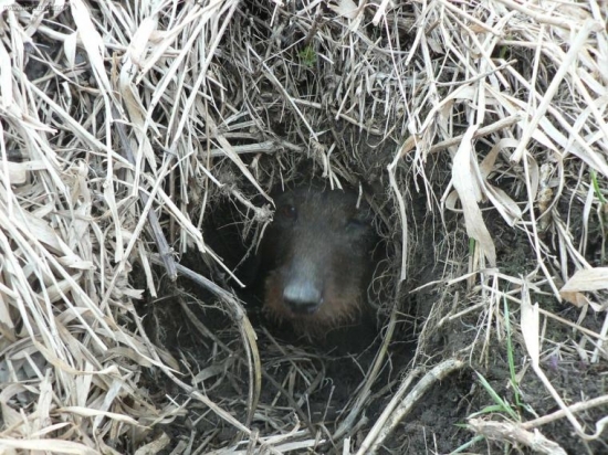 Konečne svetlo...:-)))