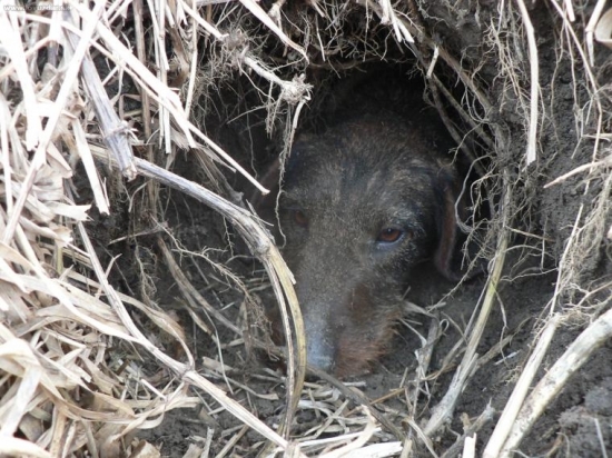 Len sa trošku nadýcham čerstvého vzduchu, a hneď idem späť