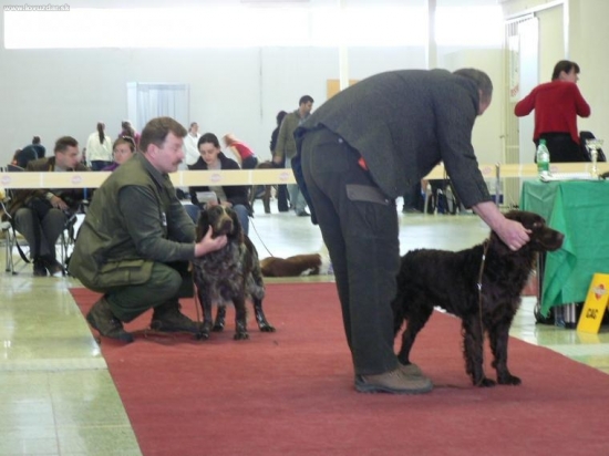 Prepeličiare v kruhu