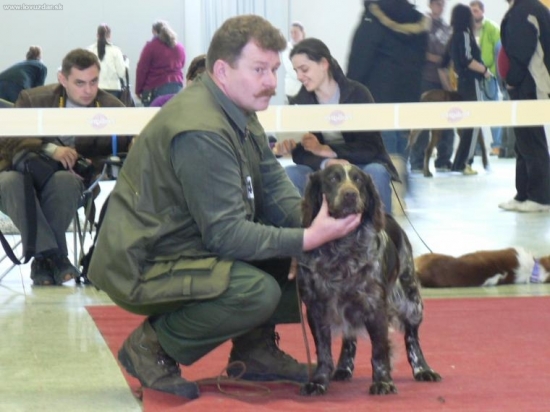 Prepeličiare v kruhu