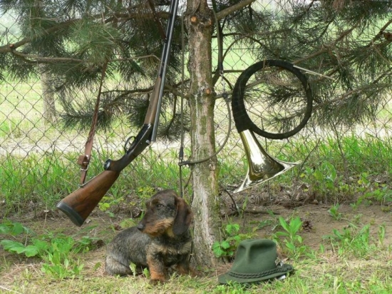 Fraxa a príslušenstvo...:-)))