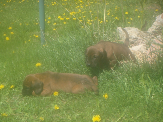 Šantenie na slniečku