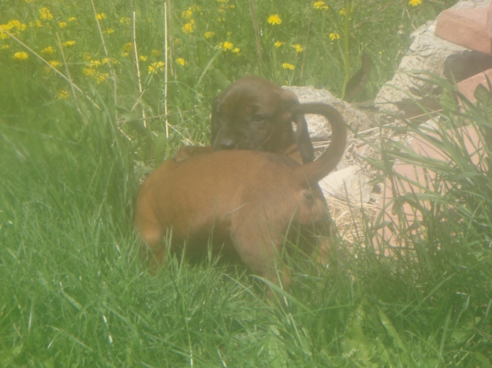 Šantenie na slniečku