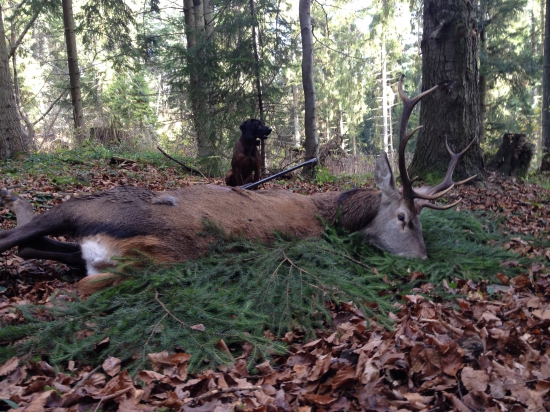 Niečo málo z roku 2014