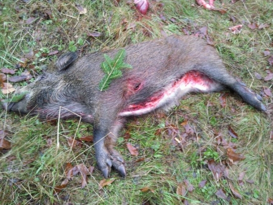 Úspech na prvej spoločnej poľovačke