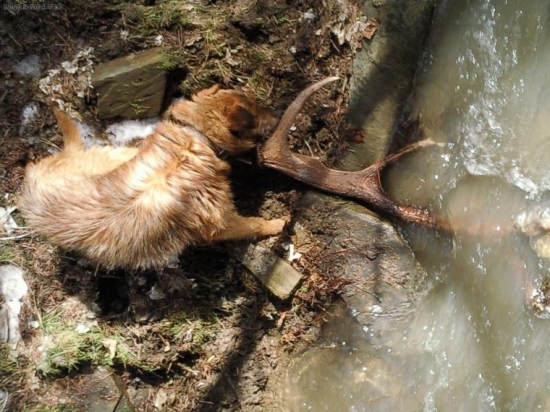 Dnes sa konečne smola prelomila 1