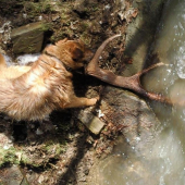 Dnes sa konečne smola prelomila 1