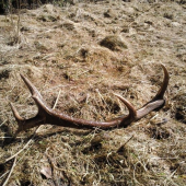 Dnes sa konečne smola prelomila 2