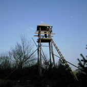 Do sezóny bude hotový :)