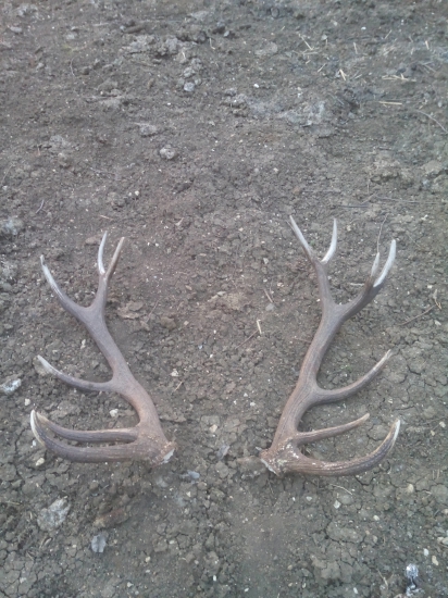 po mesiaci zase spolu