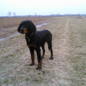 ALILA (6 months , GS)