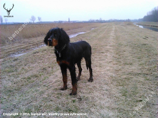 ALILA (6 months , GS)