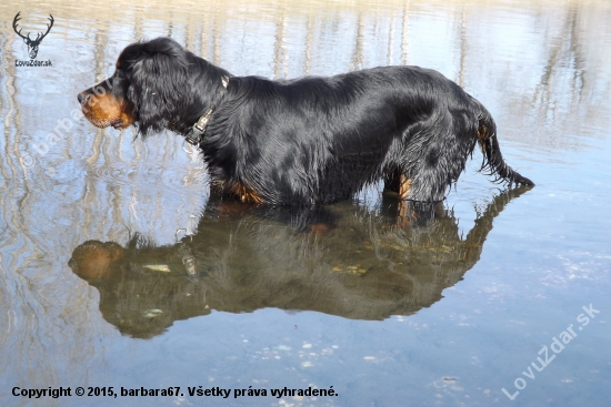 ALILA (6 months , GS)