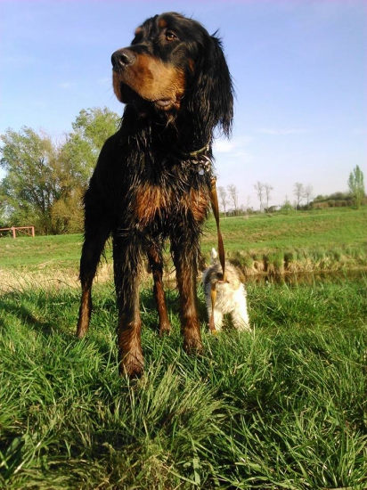 Poď už do vody..:-D