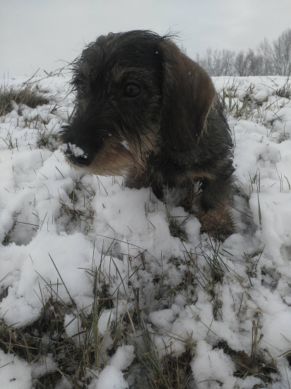 Bude zo mňa krásavec 