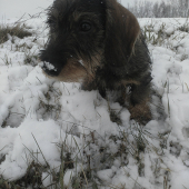 Bude zo mňa krásavec 