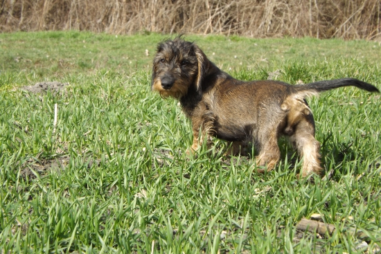 Už som veľký fešák