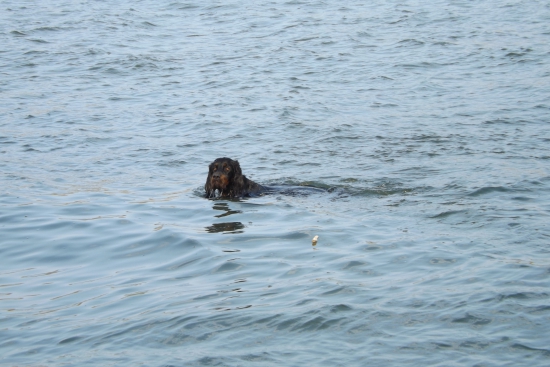 Bude tá ochota pracovať v hlbokej vode