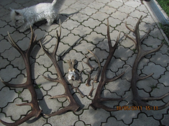 Rok 2011 ale zhody 2010