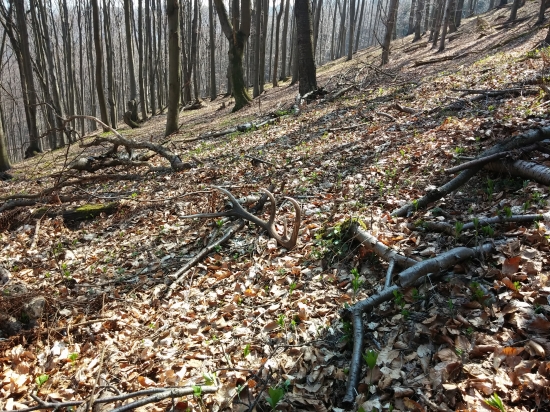 Inovecky 10 torak 2kg.