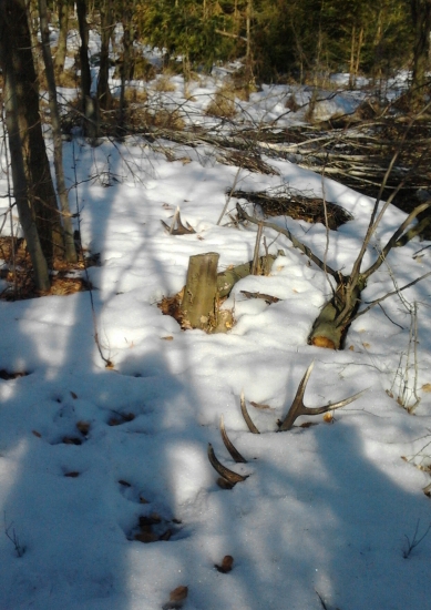 srdce podskočí :-)