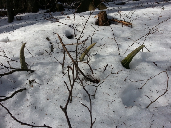 Starý ale poteší :-)