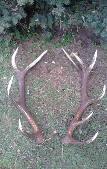 Po mesieci opäť spolu