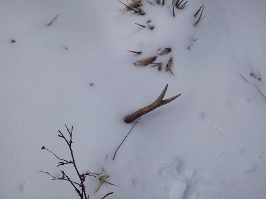 Veľký piatok a 10 toráčik :)