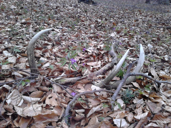 Aj starší poteší