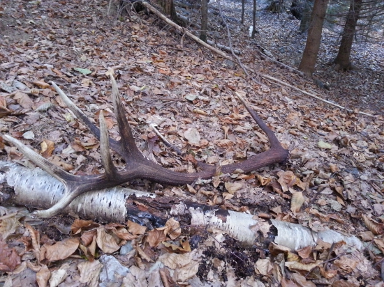 Úplne mega šťastný som :o