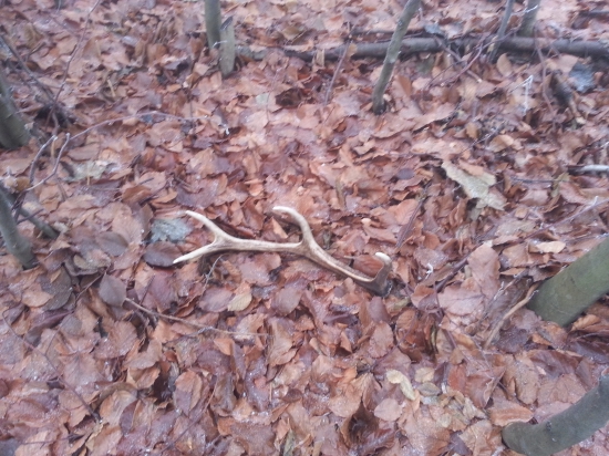 Dnes na spoločnej sa zadarilo