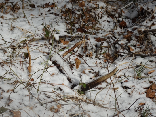 Sezóna 2016 úspešne začatá :)