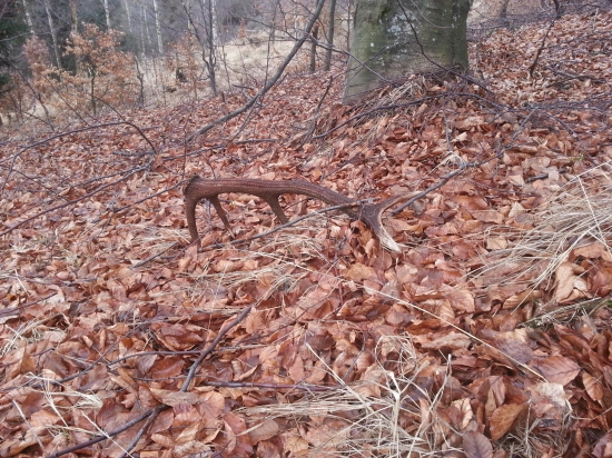 Druhý do páry (2/2)