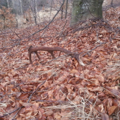 Druhý do páry (2/2)