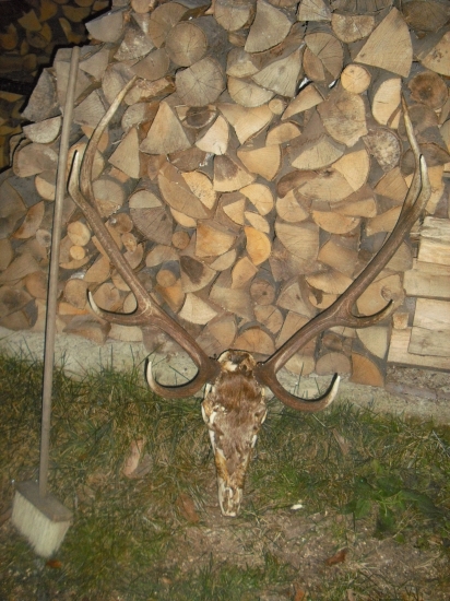 VLCi či zlá dohľadávka .