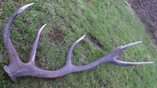 Veľkonočný - trojkilový