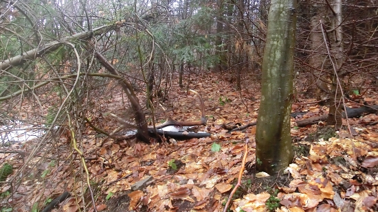 Ani dnes naprázdno :-)