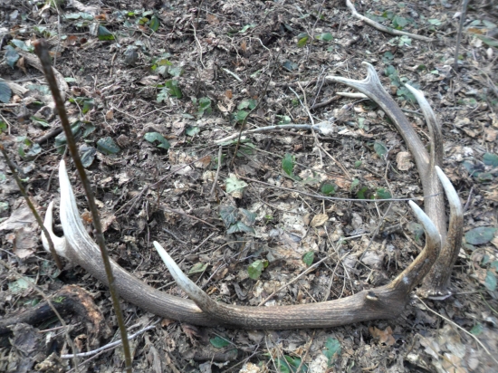 12-tka z pondelka 8.4.